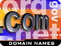 Domain Names are just $7.85 ( or less ) per year !