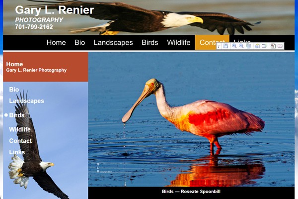 Wild Life Photographer - Battle Lake, Minnesota