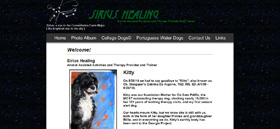Sirius Healing